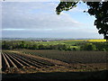 Tattie fields south of Craighill farm