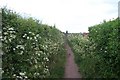 Bridleway, Warsop