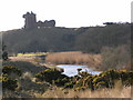 NO6951 : Lunan Water and Red Castle by Karen Vernon