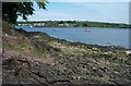 South bank of the Milford Haven near Pembroke Dock