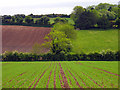 S7315 : Ploughed Field and Farmland near New Ross by Pam Brophy