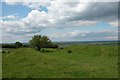 SU1591 : Ramparts of Castle Hill Fort looking North over the Thames Valley floodplain by Martyn Pattison