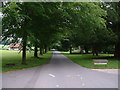 The Avenue - Shobdon