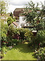 Suburban back gardens, North Acton