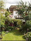 TQ2081 : Suburban back gardens, North Acton by David Hawgood