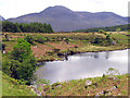 V8879 : Small Lake en route to the Killarney National Park by Pam Brophy