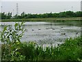 Barmston Pond