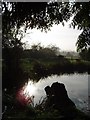 TM2455 : Pond, Debach, Suffolk by John Winfield