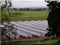 NO5134 : Polytunnels on Balhungie Farm by Val Vannet