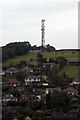 Radio Mast at Toadmoor