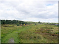 Shipley Glen