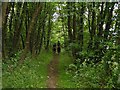 Bridleway from Coldblow to Friningham