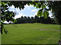 TQ5694 : Weald Country Park, Brentwood, Essex by John Winfield
