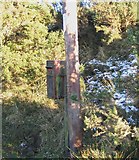 SN7111 : Neglected Postbox on a mountain track by Nigel Davies