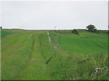 NT5376 : Paths near Athelstaneford. by Richard Webb