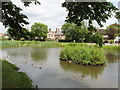 Pond on Tylers Green, near Penn