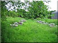 Beehives, Aberbothrie