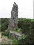 NZ7900 : Standing Stone on Wheeldale Moor by Martin Norman