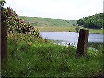 SE0230 : Gateposts, Lower Dean Head reservoir by Mark Anderson