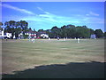 Cricket on The Cricket Green, Mitcham.