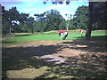 TQ2271 : Golfers on Wimbledon Common. by Noel Foster