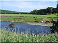 River Aire