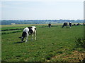 Looking over the fields towards Fletching