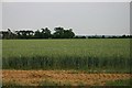 Field west of Bury St Edmunds