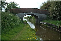 SJ8414 : Shropshire Union Canal by andy