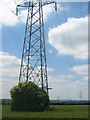 Graveley Pylons