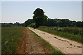 Bridleway near Great Barton