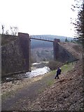 SS8094 : Disused railway bridge at Pontrhydyfen by Steve Rigg