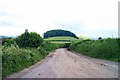 Near Landscove - South Devon