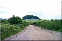 SX7665 : Near Landscove - South Devon by Richard Knights