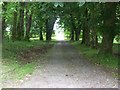 Entrance driveway into Tighnabruaich Cemetery