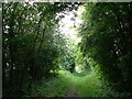 An Essex footpath