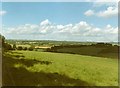 View of Ambley Wood south of Upton