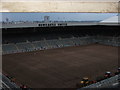 St. James Park Newcastle