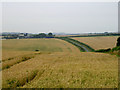 Farmland east of Piddlehinton