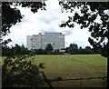 Pasture between Manor Royal Industrial Estate and Gatwick Airport, Near Crawley, West Sussex