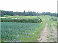 Old Plawhatch Farm Shop