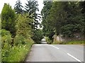 Tree-lined road by Dupplin estate