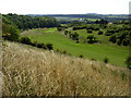 Hockley Golf Course, Twyford Down