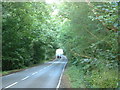 Road through woodland at Horse Hill