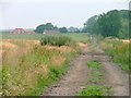 Track, Tame Bridge