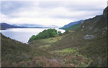 NG9867 : East shore of Loch Maree by Richard Webb