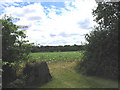 TQ5795 : Cabbage Field, Sandpit Lane, Pilgrims Hatch, Essex by John Winfield