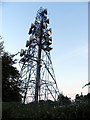 Radio Tower