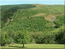 SN6990 : Forestry, Cwm Ceulan by Nigel Callaghan