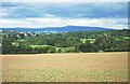 Farmland near Leysters.